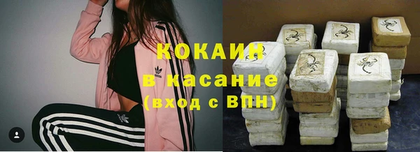 гидра Горно-Алтайск