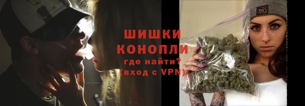 дурь Горняк