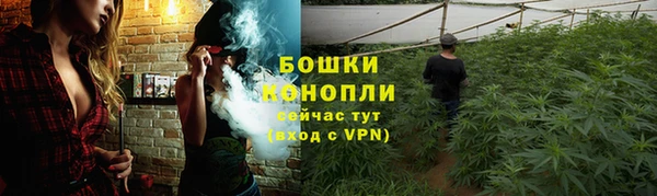 гидра Горно-Алтайск